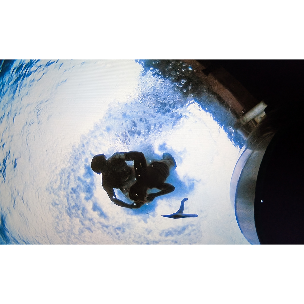 Thumbnail: Into the Blue (2005) SEA ROBIN Axe (02826/R)