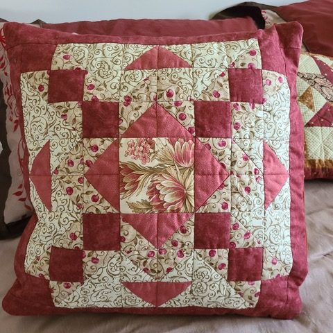 Rosemary Lay Pillow UFO