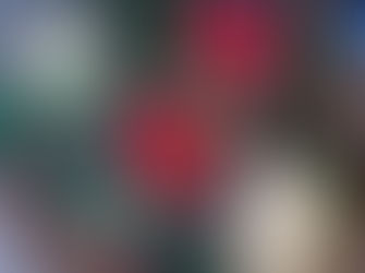 Placemats Galore! Donations for Meals on Wheels