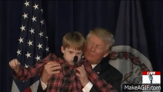 _Pb4mM.gif