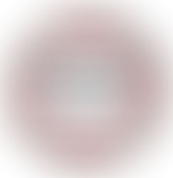 "Vested Mediator" is Subchapter V Trustee's Most Valuable Role