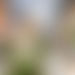 Cool Springs Galleria Owner Prepares to File Chapter 11 Bankruptcy 