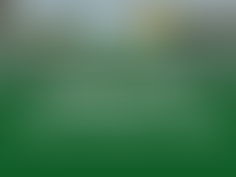 The Big Spring Update 2025