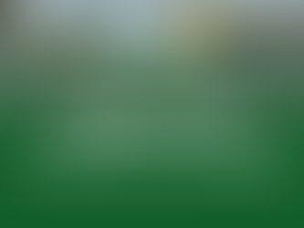 The Months In Review - July & August 2025