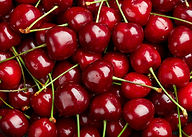 AdobeStock_113303644.jpeg