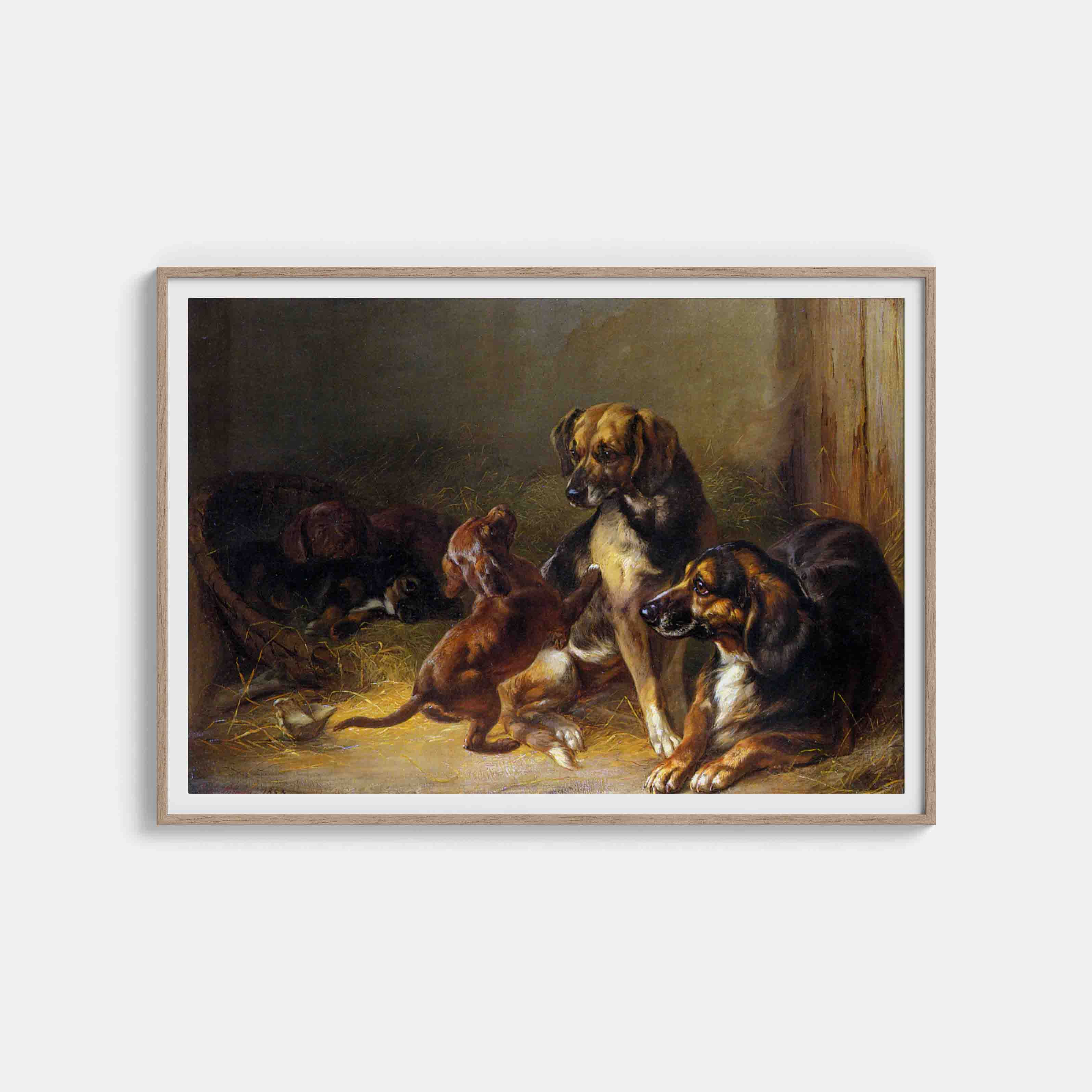 Benno Adam : Dogs and Whelps