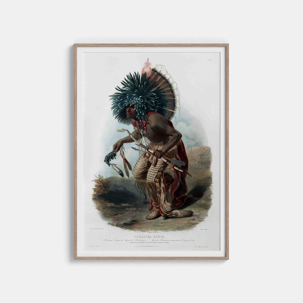 Karl Bodmer : Pehriska-Ruhpa of the Dog Society of the Hidatsa tribe of Native Americans