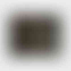 Abraham Mignon: Interior of a grotto with a rock-pool, frogs, salamanders and a bird's nest