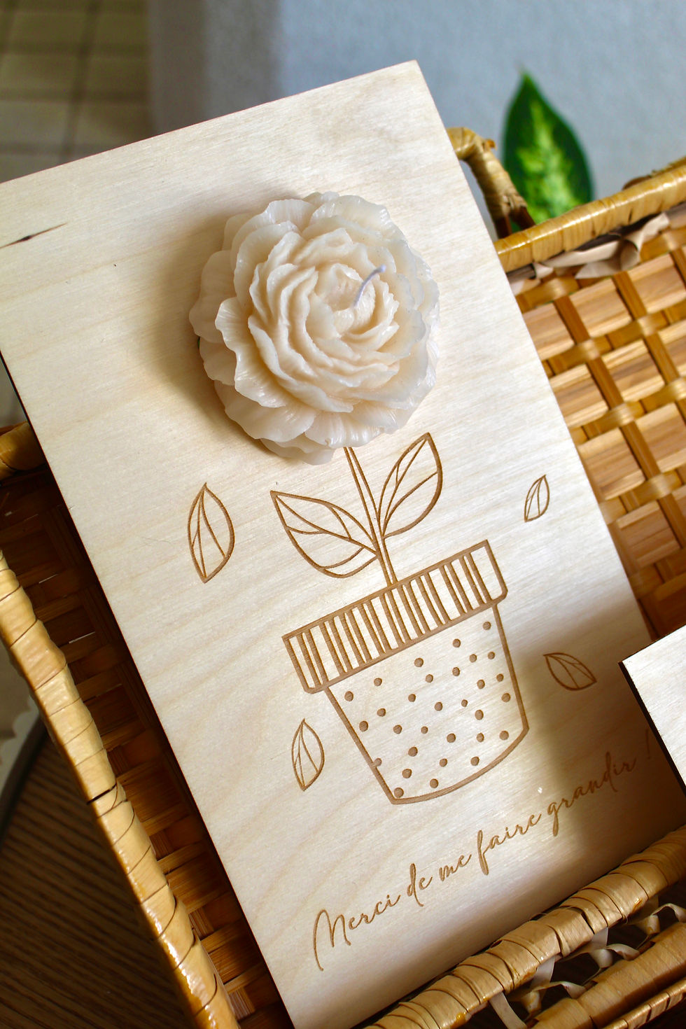 Miniature : Cartes Lumière