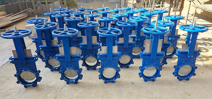 VÁLVULAS DE CHUCHILLA.jpg