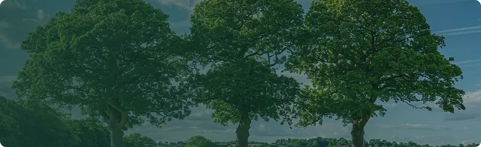 Frame 2147233243 (1).webp