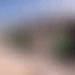 Chegada dos premiados