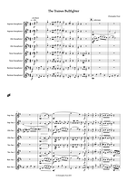 The Trainee Bullfighter 8tet_0002.png