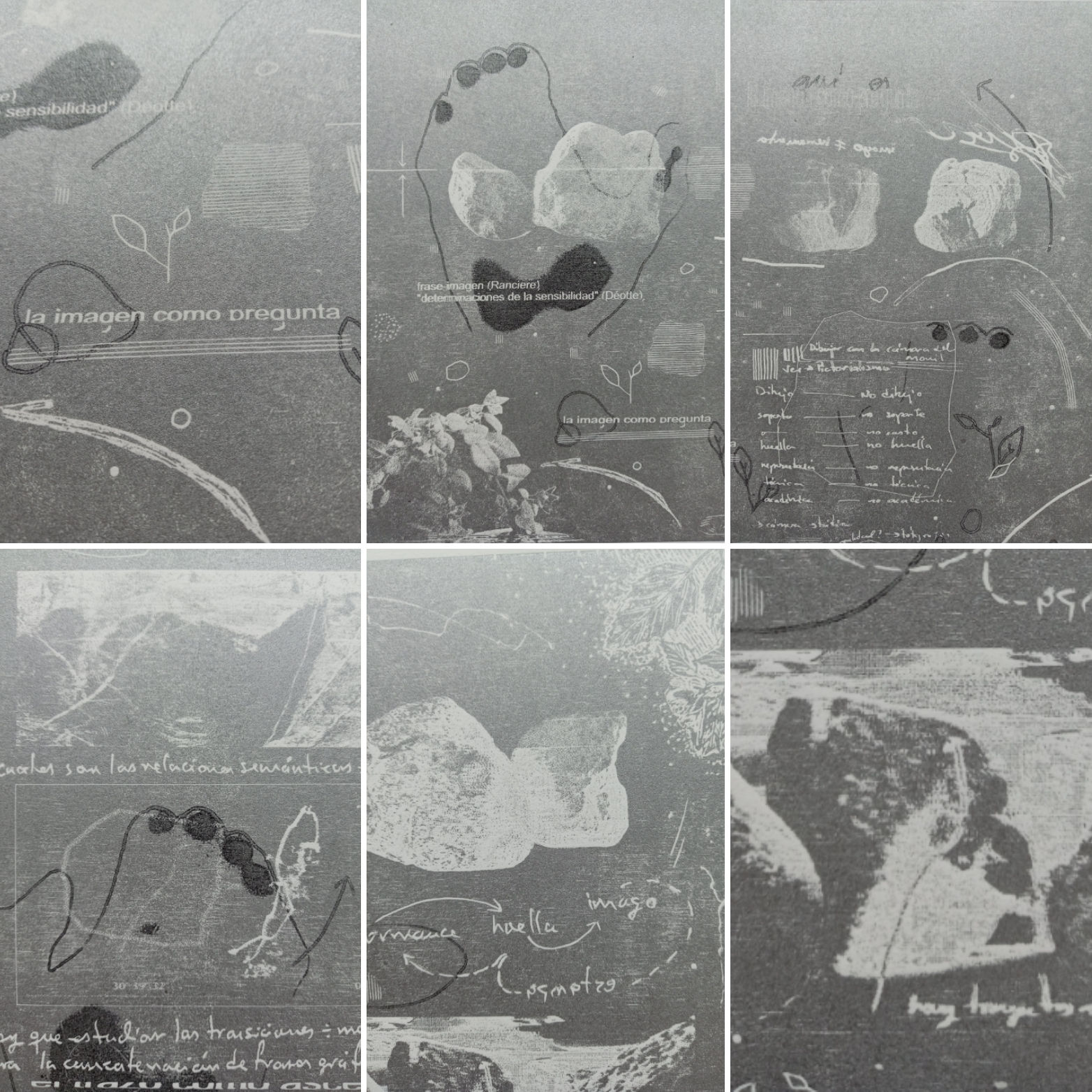 La imagen como pregunta 