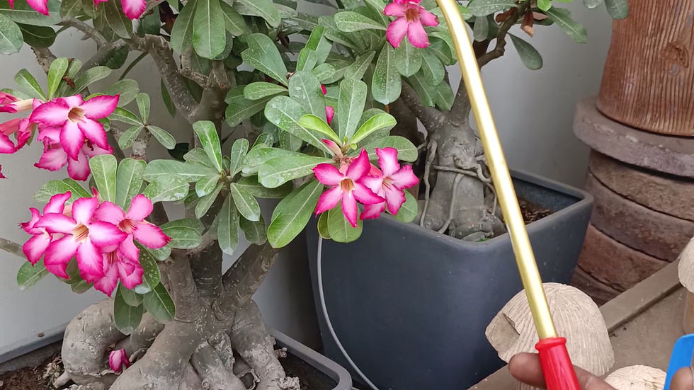 Thumbnail: ASPEE Marut 3.5 Ltr S.S