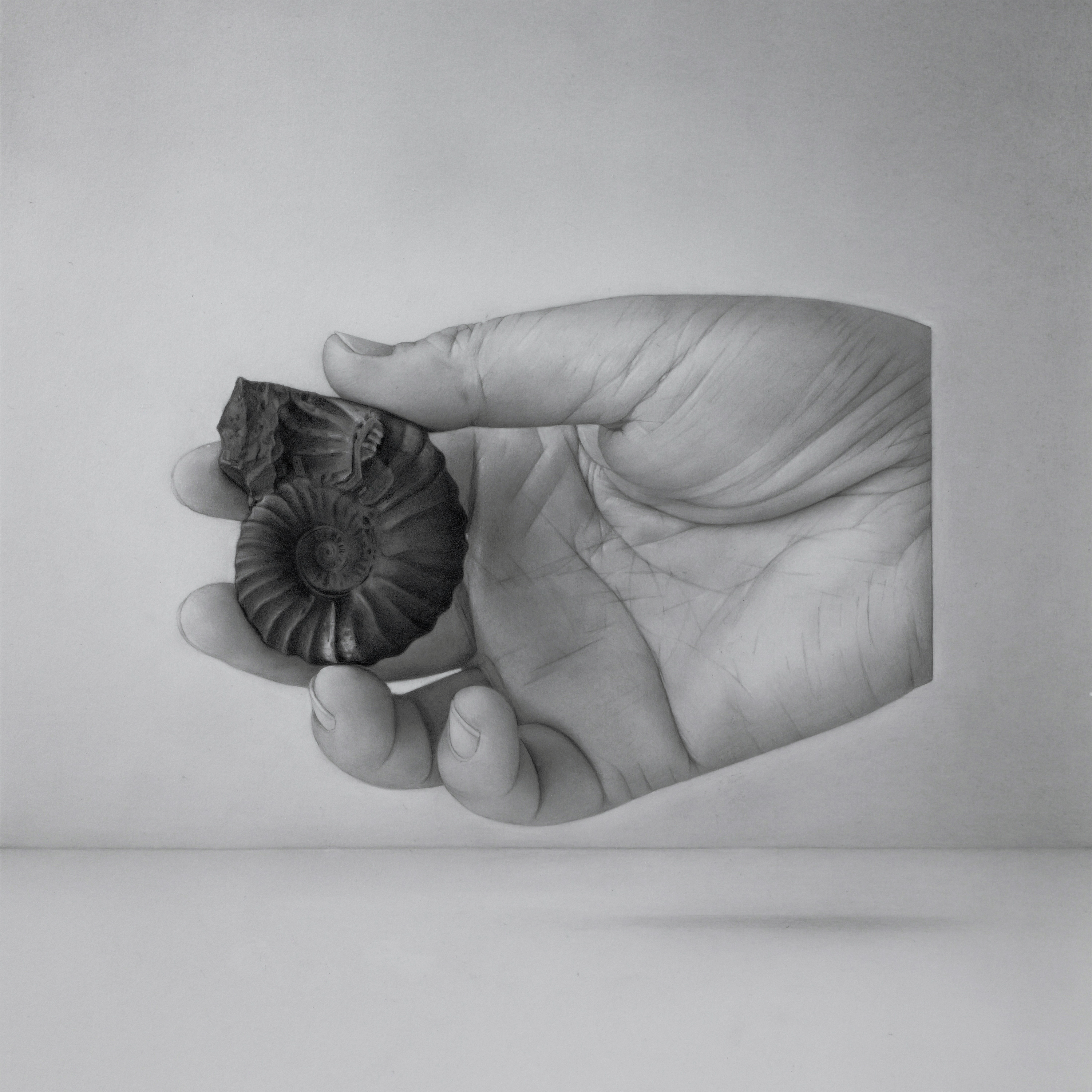 Original pencil-on-paper cover artwork for Raíz y Recuerdo by Chizuru Masumura