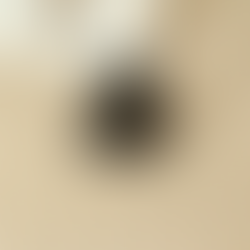 Contemplative Pedagogy in Virtual Exchange 