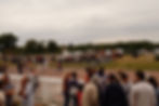 fete du cheval - questembert