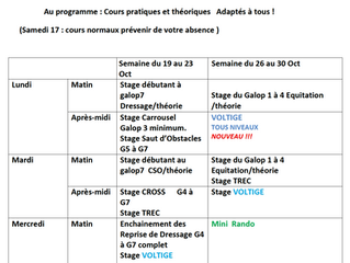 Vacances de Toussaint 2020