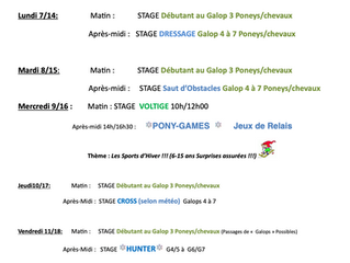 PROGRAMME VACANCES FEVRIER