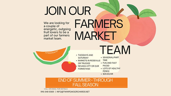 Orange Green Organic Illustrative Farmer
