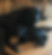 822ef2e3-cdaf-4727-b2dd-736d524c64e9.JPG