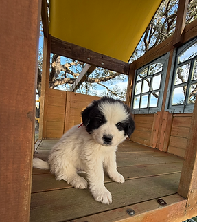 View recent photos (23).png