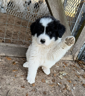 View recent photos (25).png