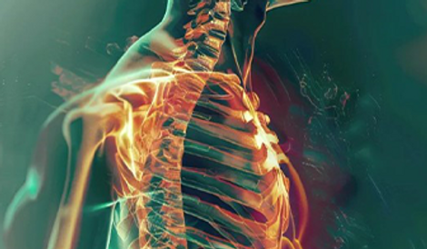 Advanced Cardiac Life Support Certification.png