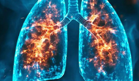 Advanced Cardiac Life Support Certification.png