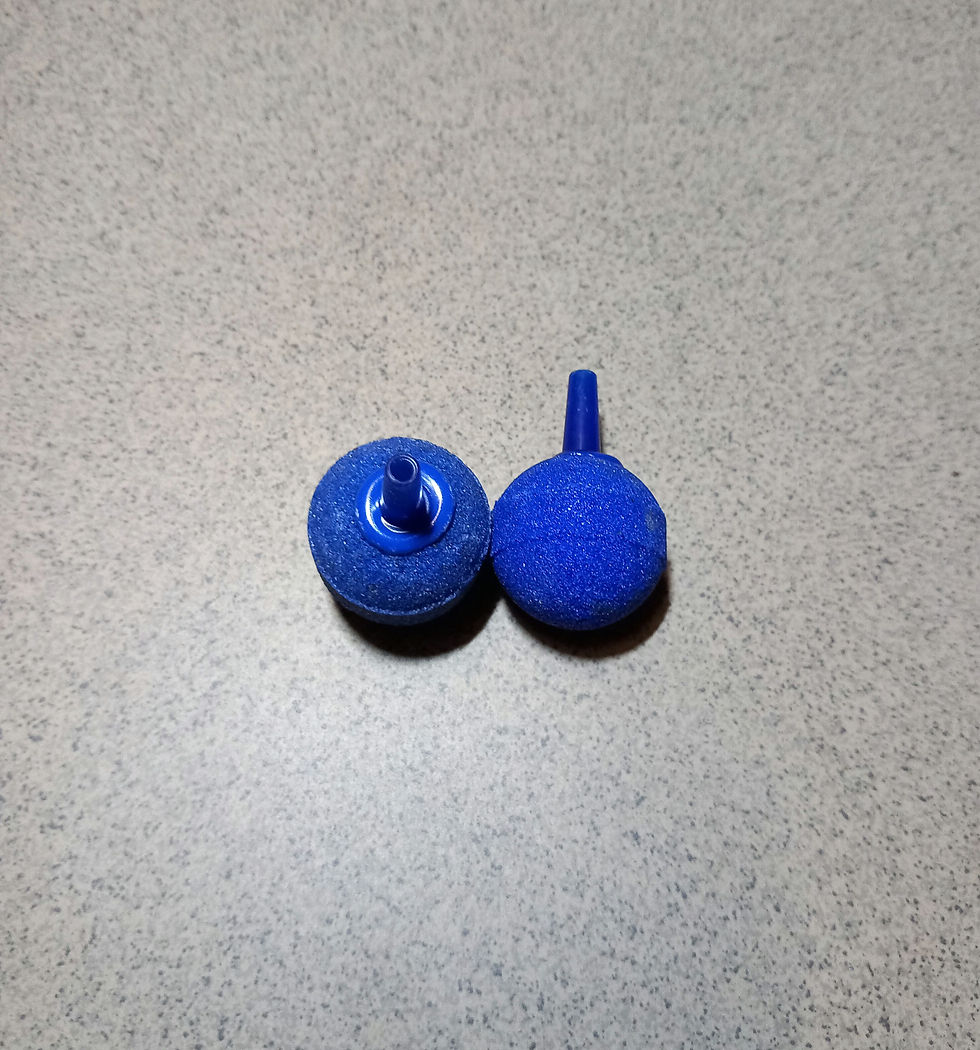 Miniaturbild: Luftstein / Sprudelstein 