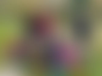 „Apfelbäumchen“ als grünes Geschenk zur Einweihung der Kindertagesstätte „Gartenkinder“