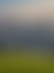 Financing a Sustainable Future: Opportunities for Banks