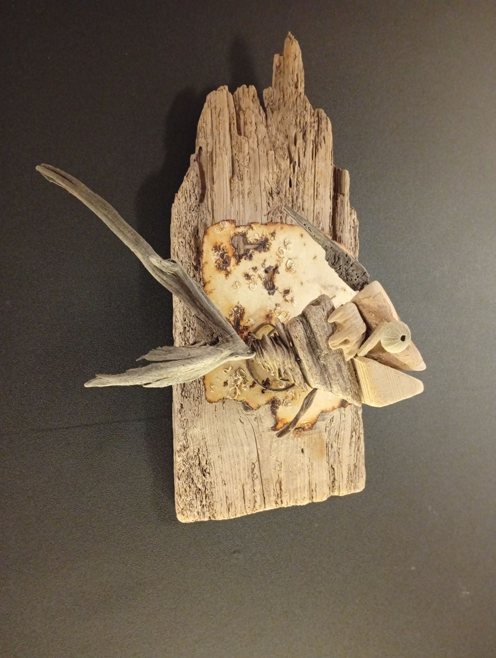 Créations artistiques en bois flotté issu de l'océan atlantique. sculpture L a Rochelle, Ile de Ré.