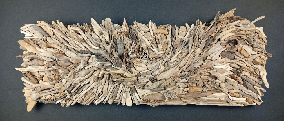 Créations artistiques en bois flotté, sculpture naturelle et unique. La rochelle Ile de Ré.