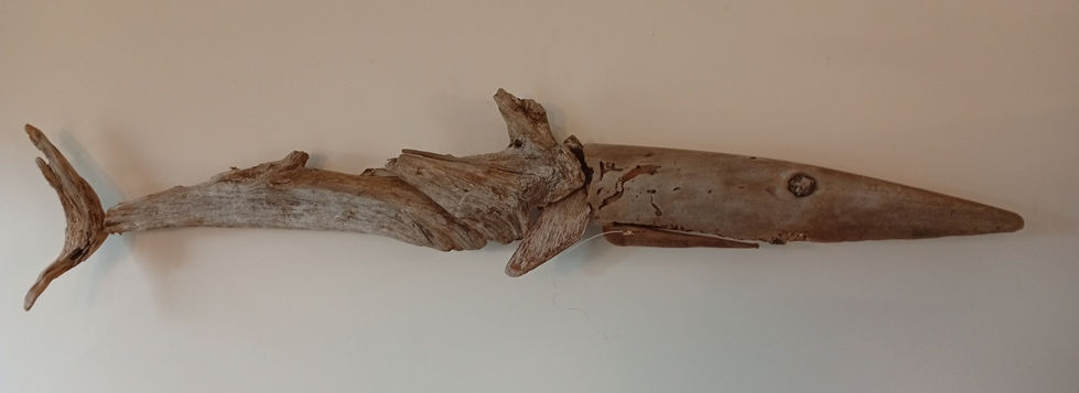 Création artistique en bois flotté, requin sculpture imaginaire la Rochelle ile de Ré.