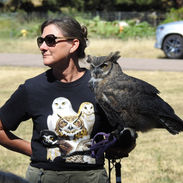 Eurasion Eagle Owl.jpeg