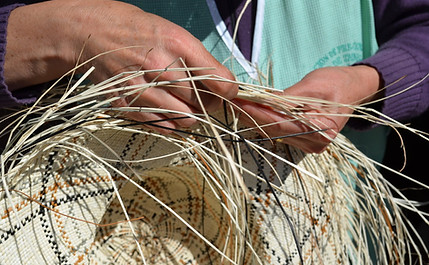 w1170_2814256_nl.jpg