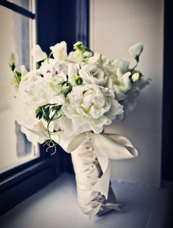 Lily's Of The Valley