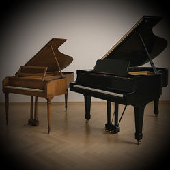 BEETHOVEN'S VISIE OP EEN IDEALE PIANO: VOORBIJ DE PIANO-FORTE