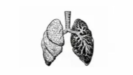 SOMATISCHES BREATHWORK