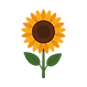 herbstliche Sonnenblume-Spaetsommer.png