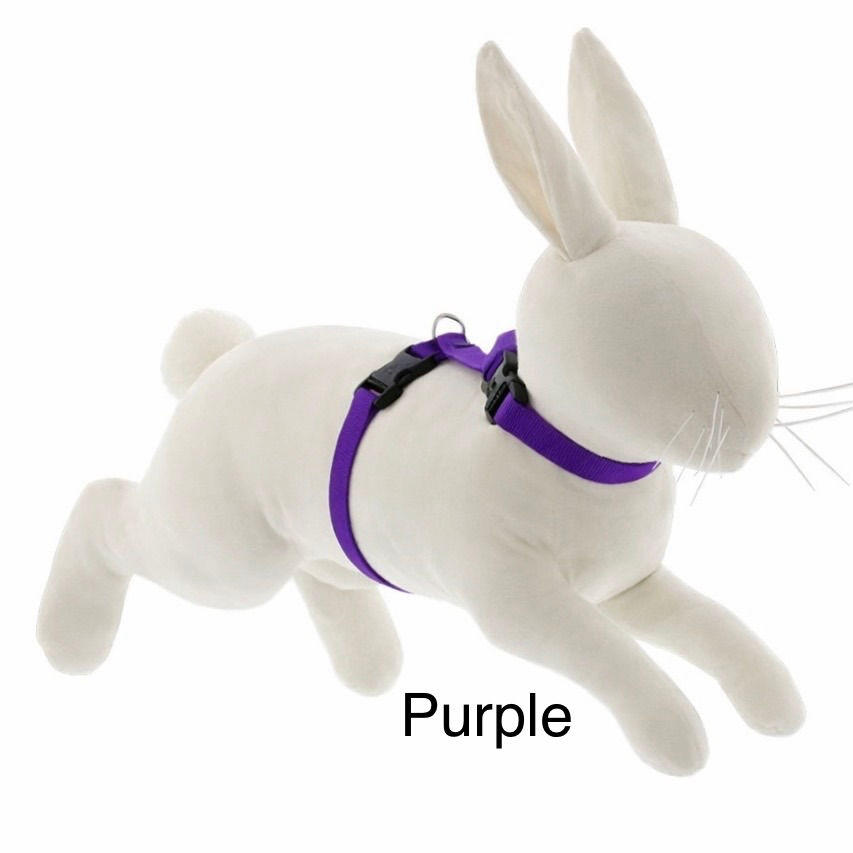 Thumbnail: Harness and Leash Set