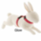 Thumbnail: Harness and Leash Set