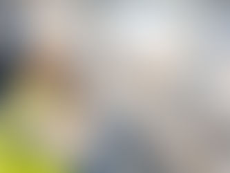 Integrando a Sustentabilidade na Gestão do Desempenho Empresarial