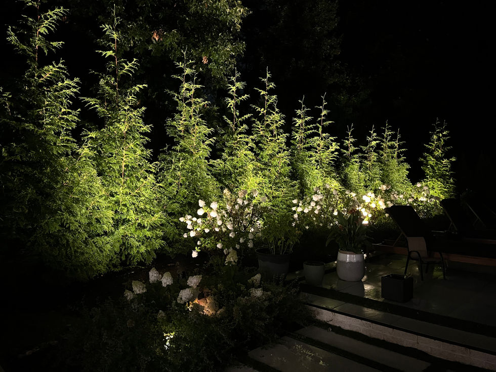 Landscape lighting in Brookville NY