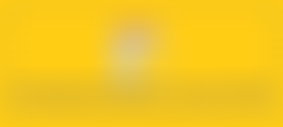 Listening, Learning, and Understanding Developmental Disabilities