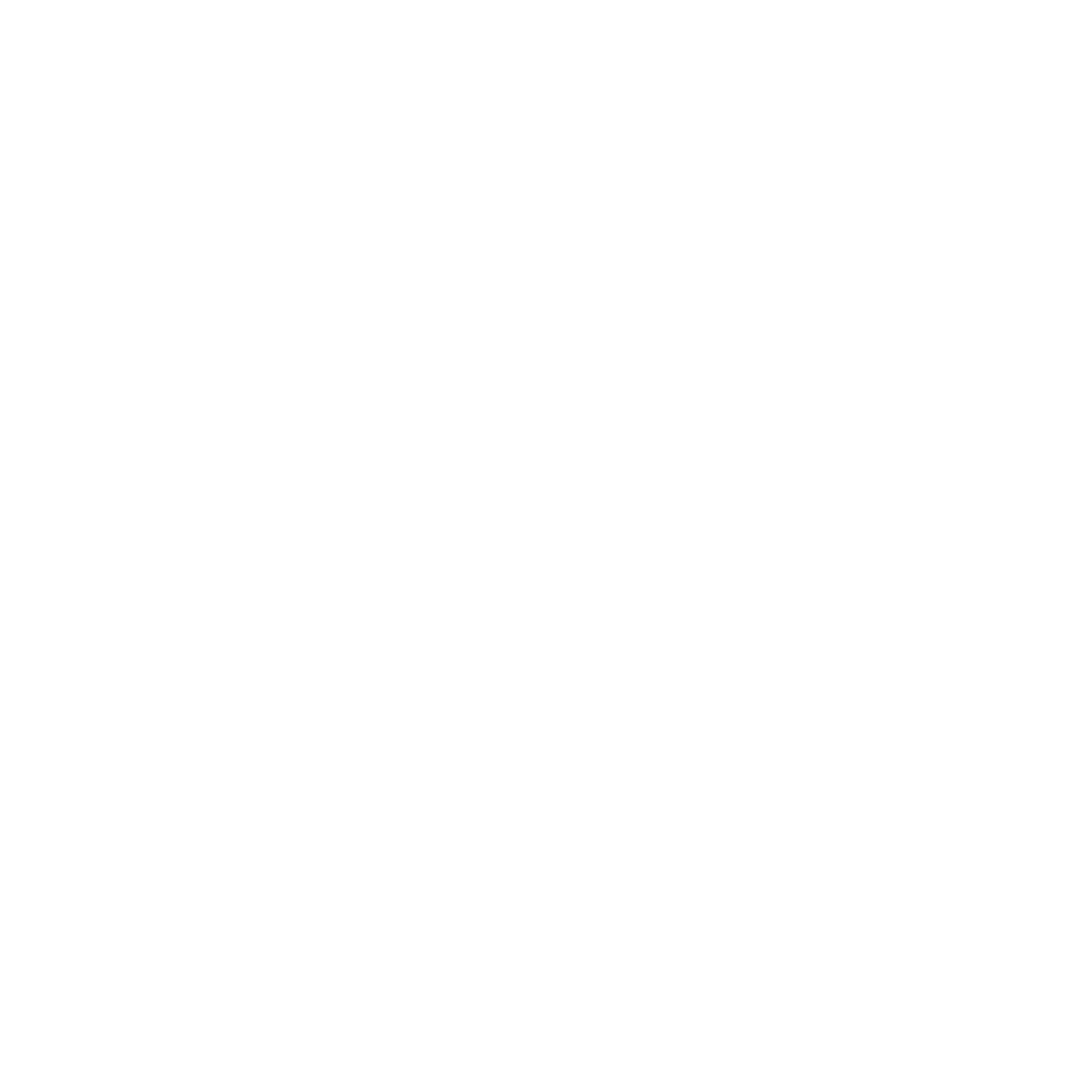 Logo Luis Animation_White.gif