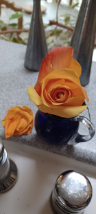 A bright orange rose sits in a dark blue vase