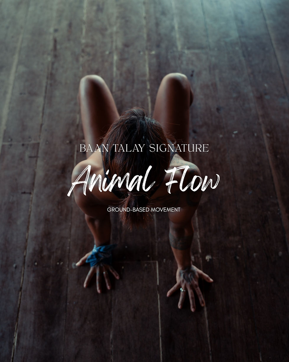 Animal Flow Classes in Koh Tao: Build Strength, Mobility, and Balance